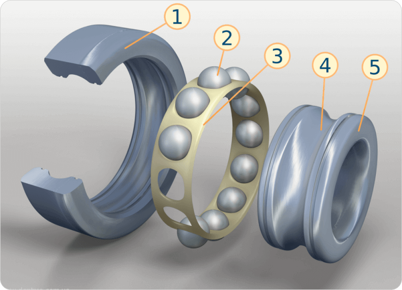 Bearing the Weight - Robustness and Design